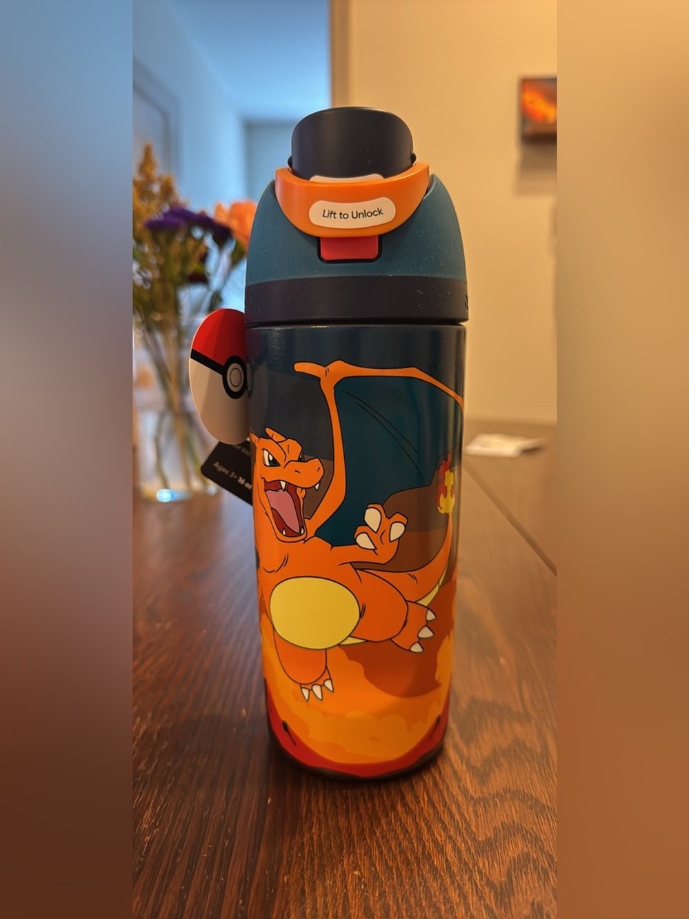 Brand New With Tag: OWALA X POKEMON Charizard